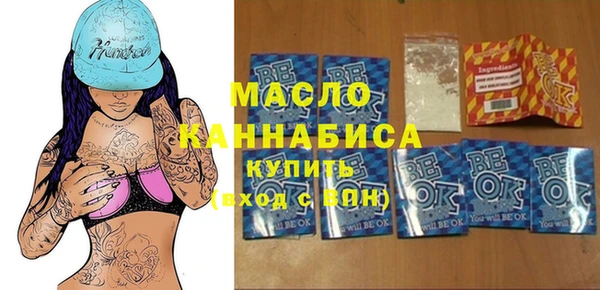молекула духа Елабуга